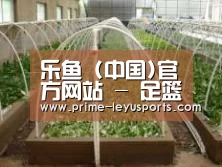 环境展示五