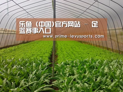 种植基地四