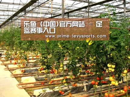 种植基地二