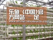 环境展示六