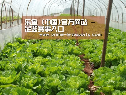 种植基地五