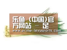 产品名称二