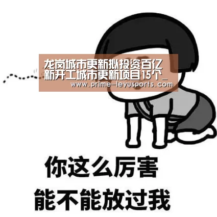 龙岗城市更新拟投资百亿新开工城市更新项目15个_乐鱼在线中心(图2) 乐鱼体育